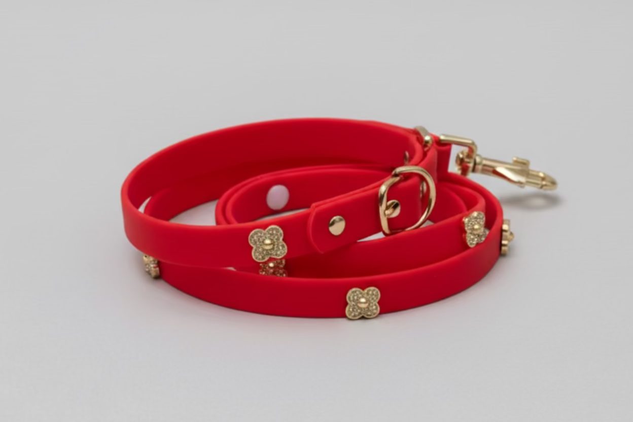 ClipUp Leash