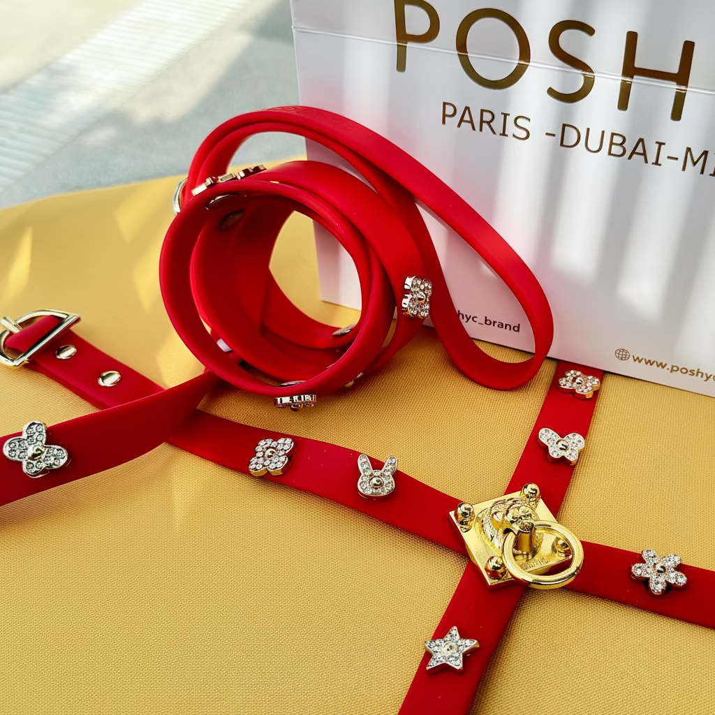 Red dog collar with decorative elements on a yellow surface, with &