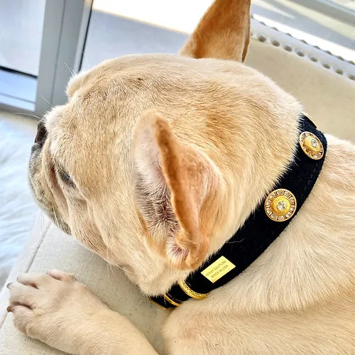 Pet Collar &quot;Baroc&quot; -  Handcrafted Pet Collar | POSHYC