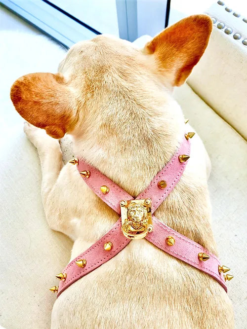 Muse Collection Pet Cross-Harness &quot;Spikes&quot; - POSHYC