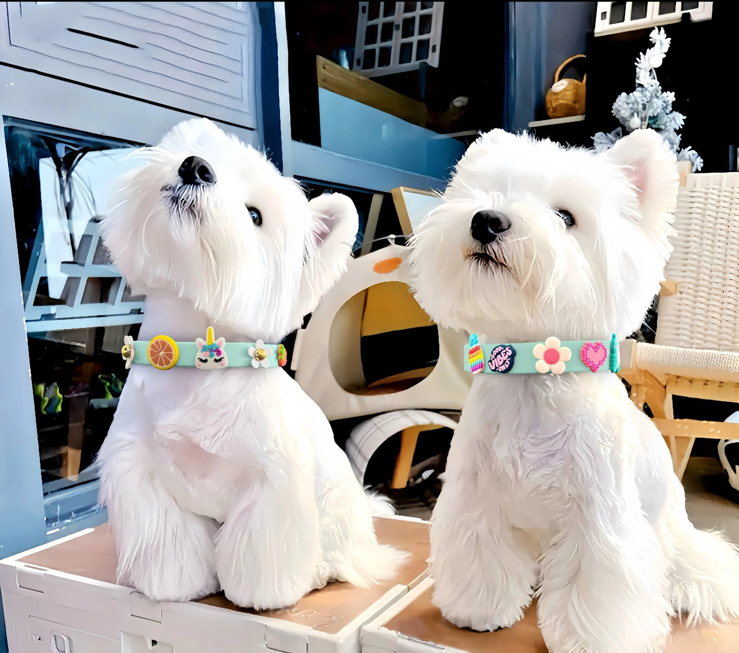 ClipUp Collar - POSHYC