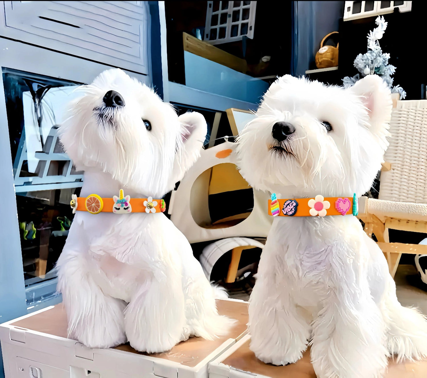 ClipUp Collar - POSHYC