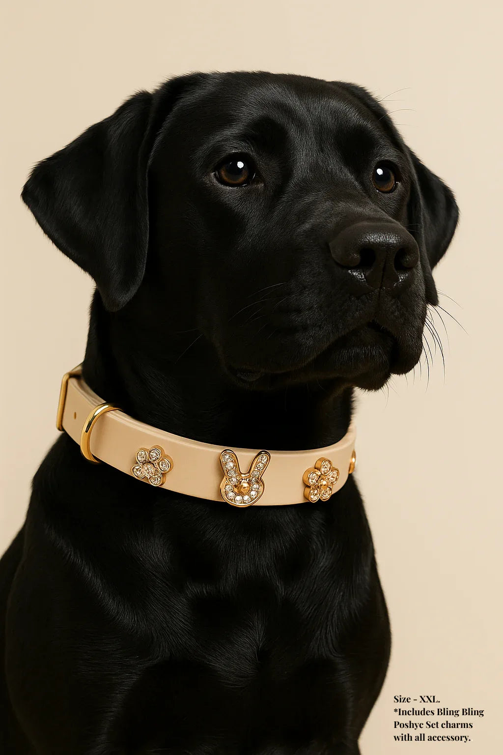 ClipUp Collar - POSHYC