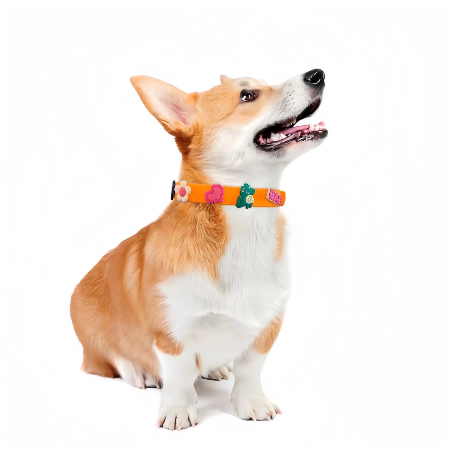 ClipUp Collar - POSHYC