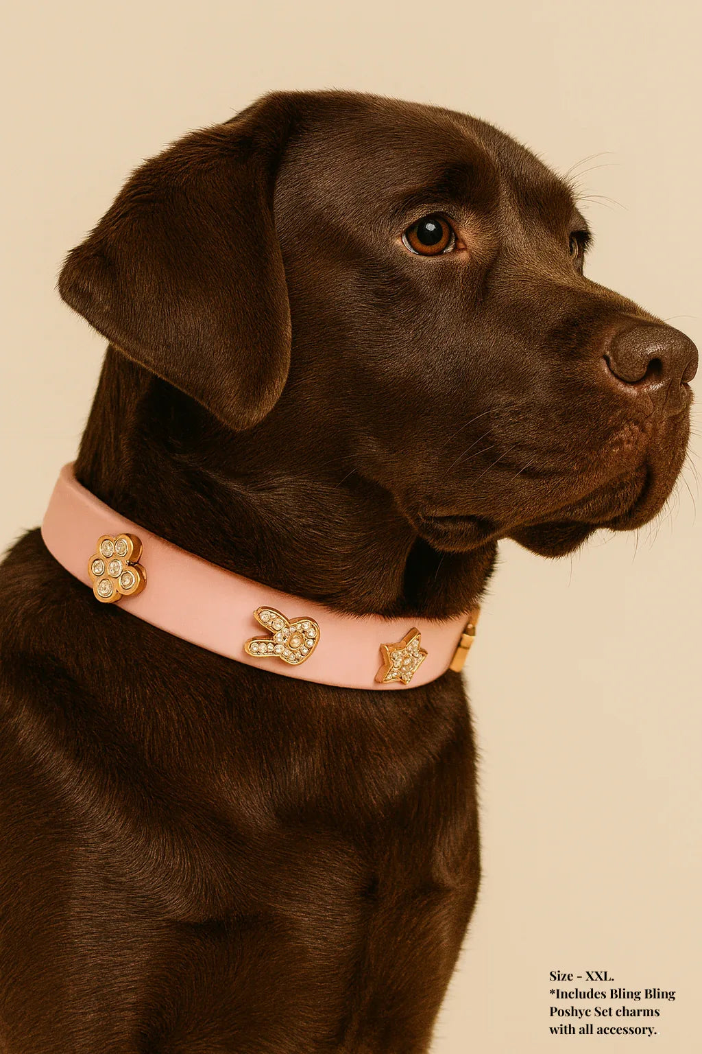 ClipUp Collar - POSHYC