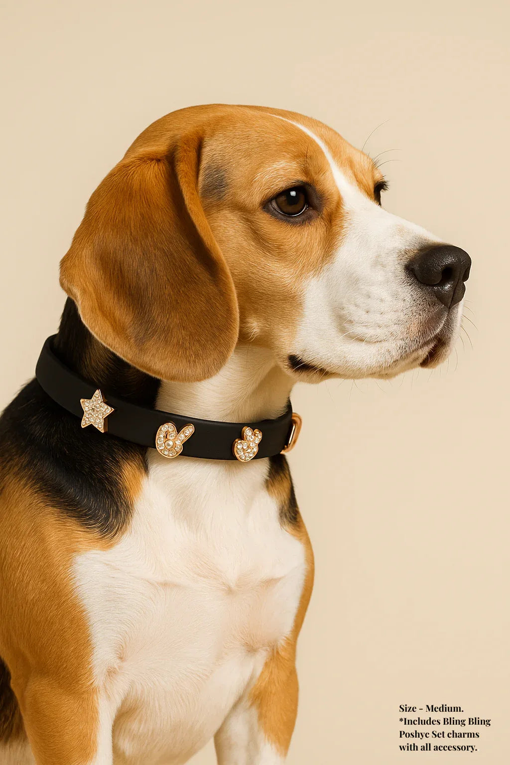 ClipUp Collar - POSHYC