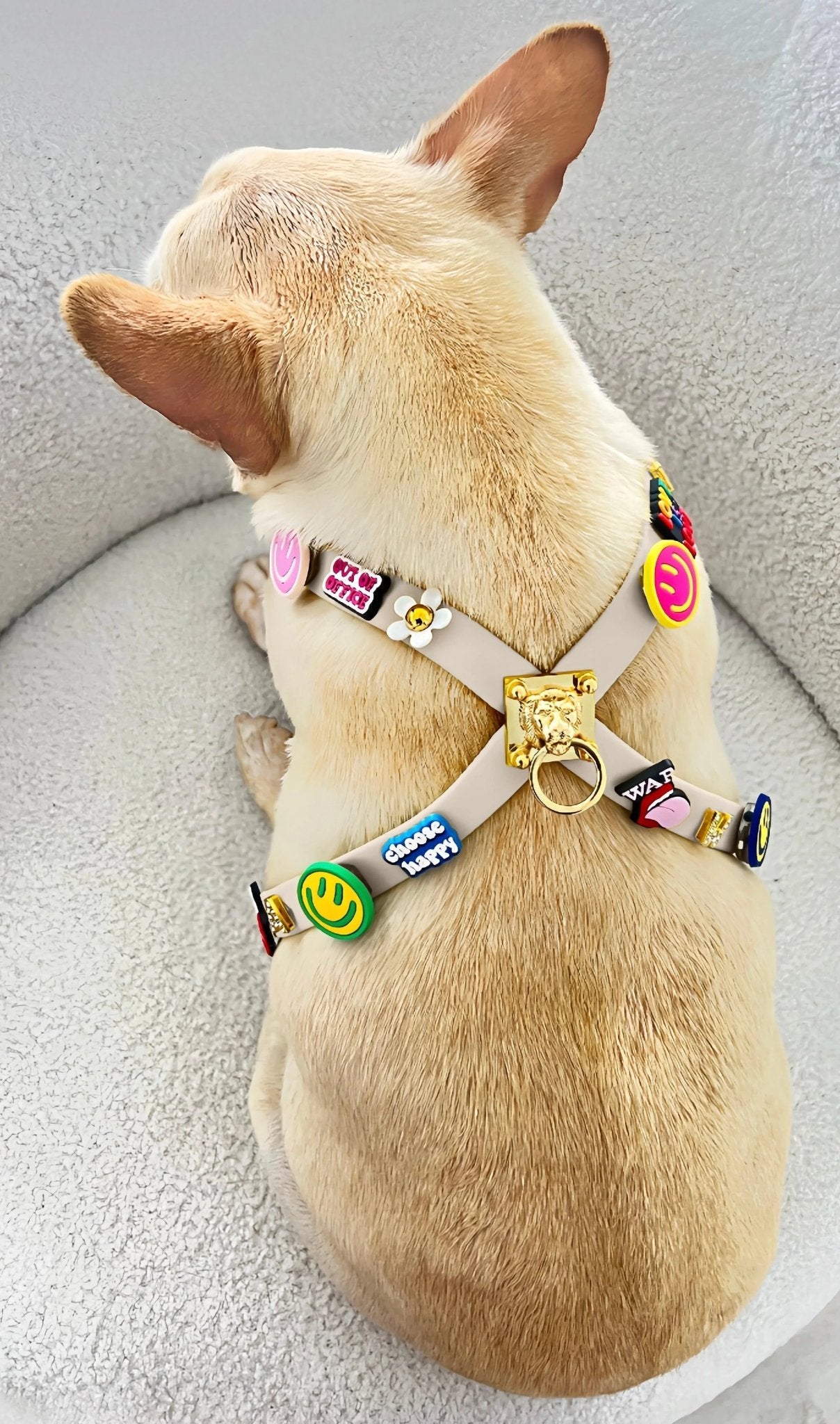 ClipUp Harness - POSHYC