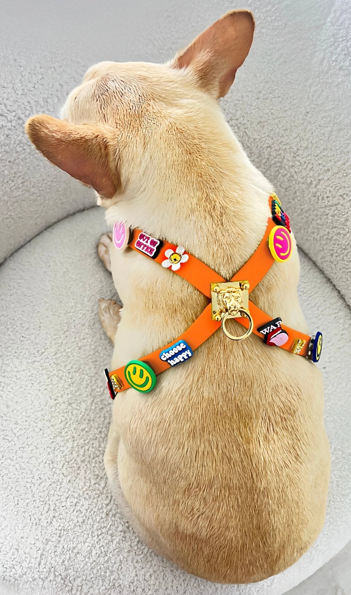 ClipUp Harness - POSHYC