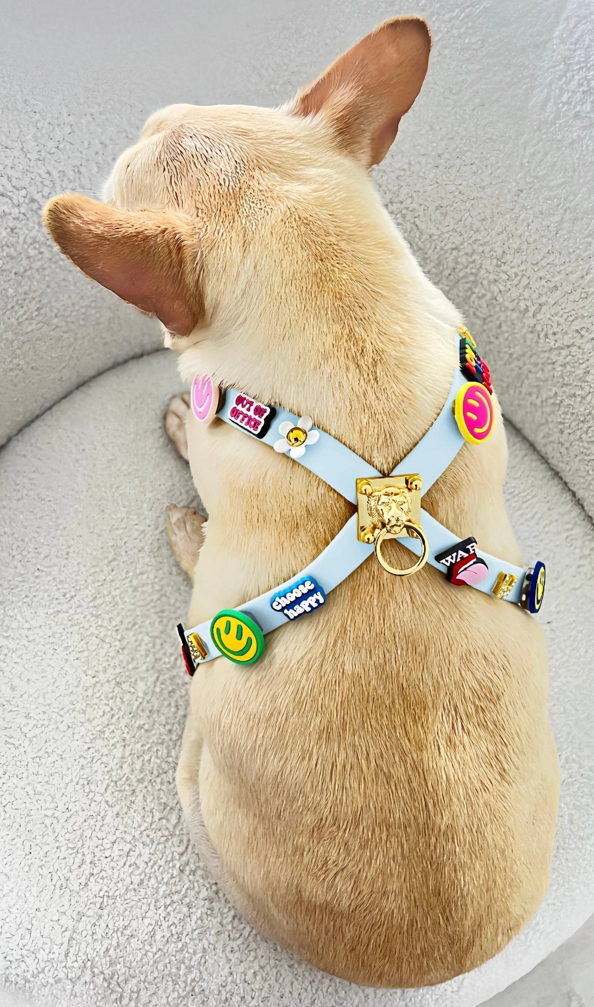 ClipUp Harness - POSHYC