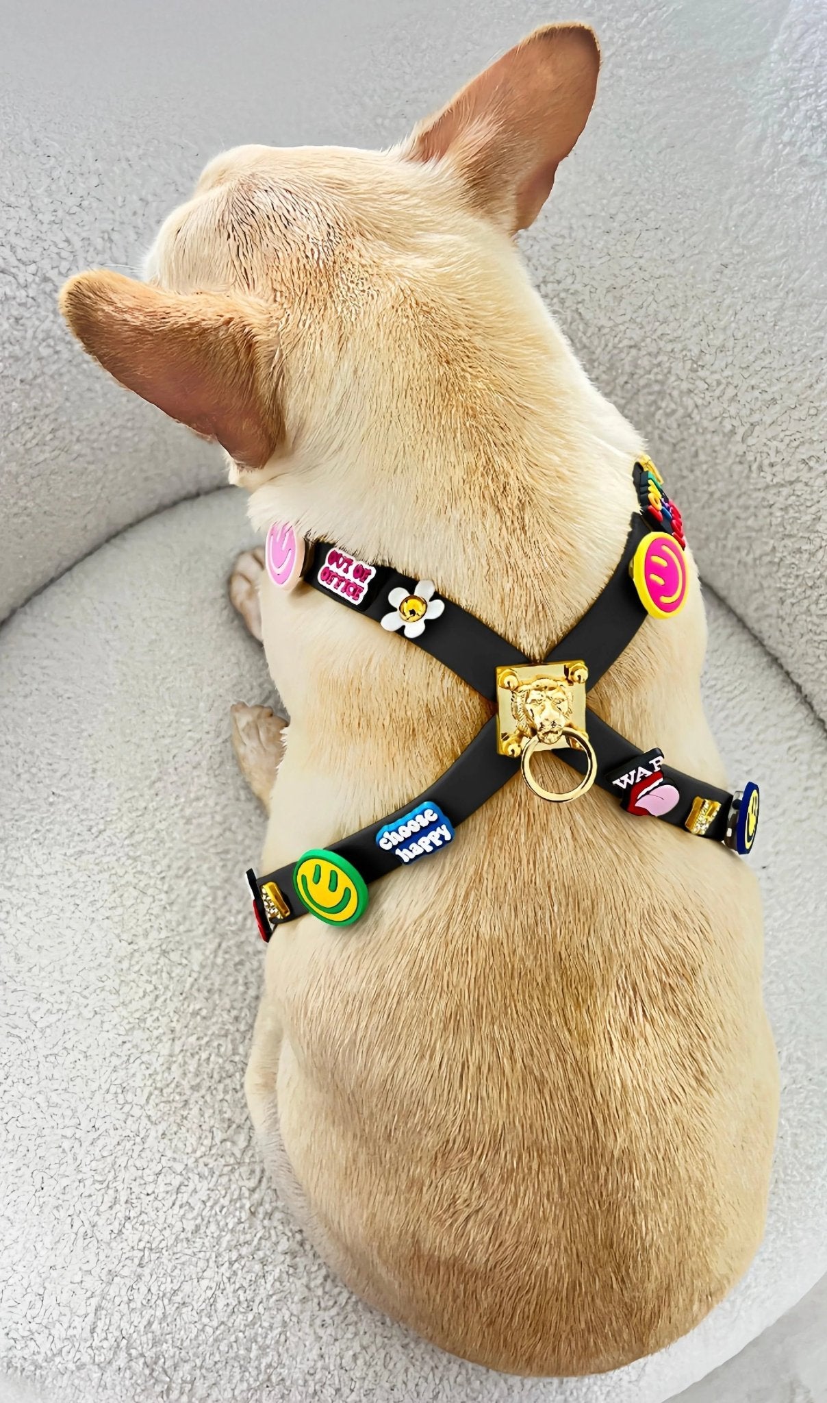 ClipUp Harness - POSHYC