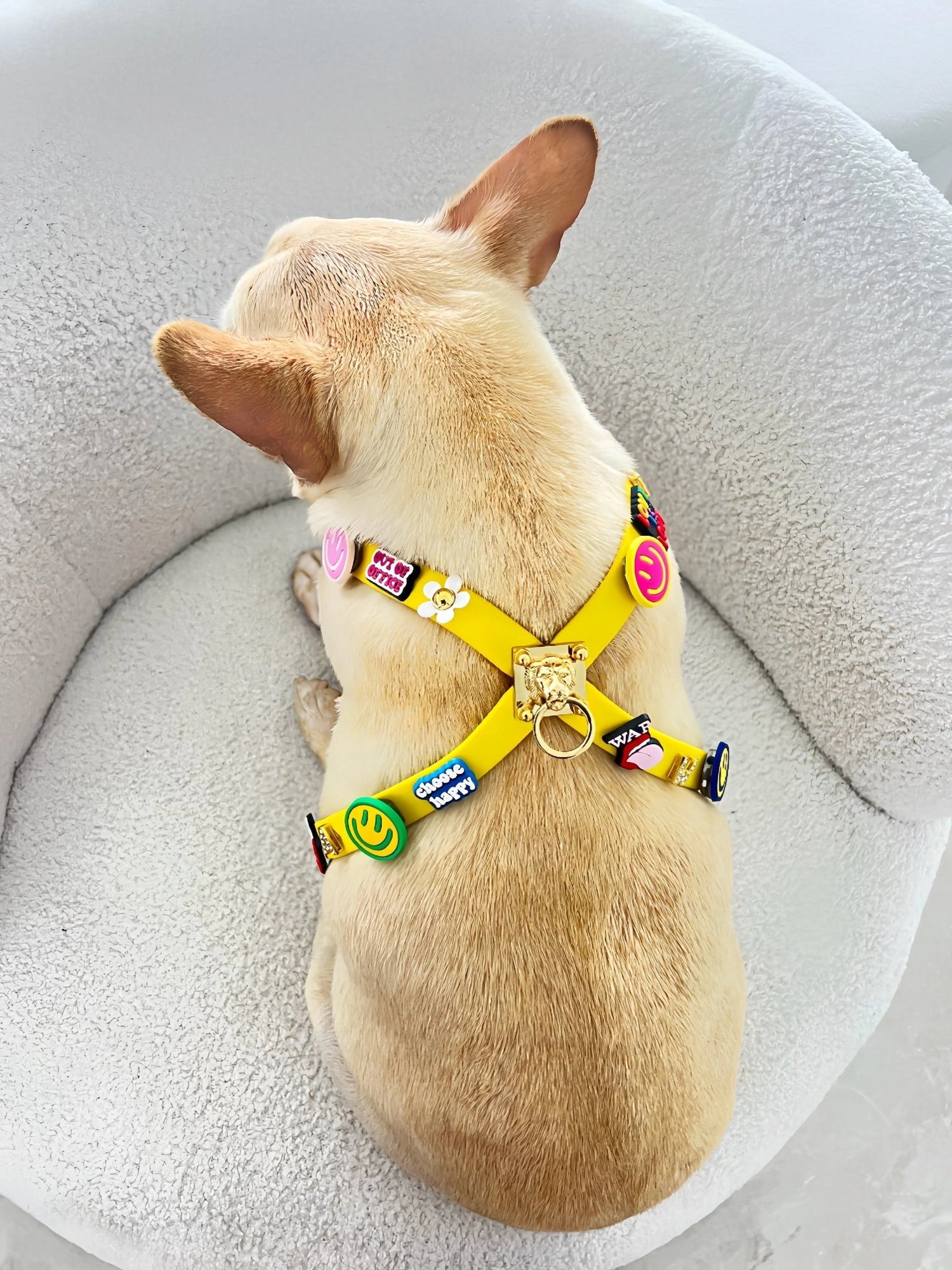 ClipUp Harness - POSHYC