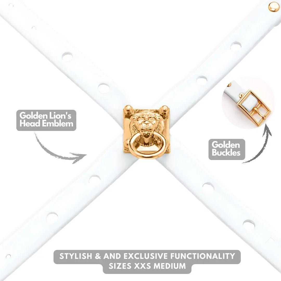 ClipUp Harness - POSHYC