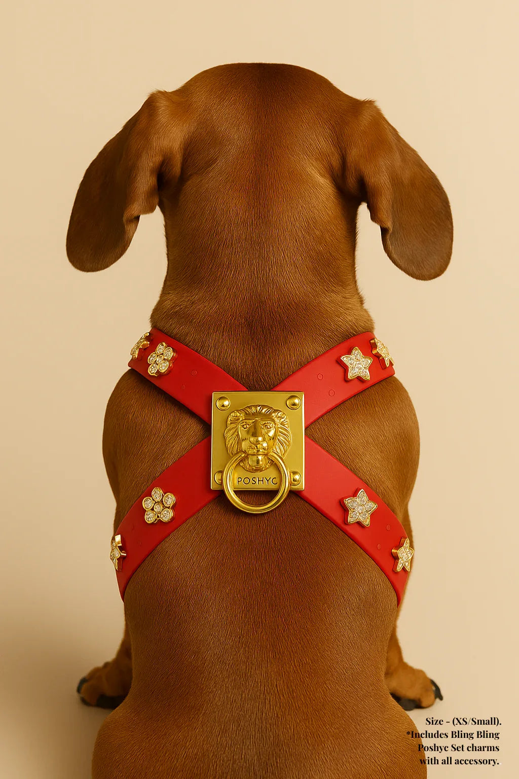 ClipUp Harness - POSHYC