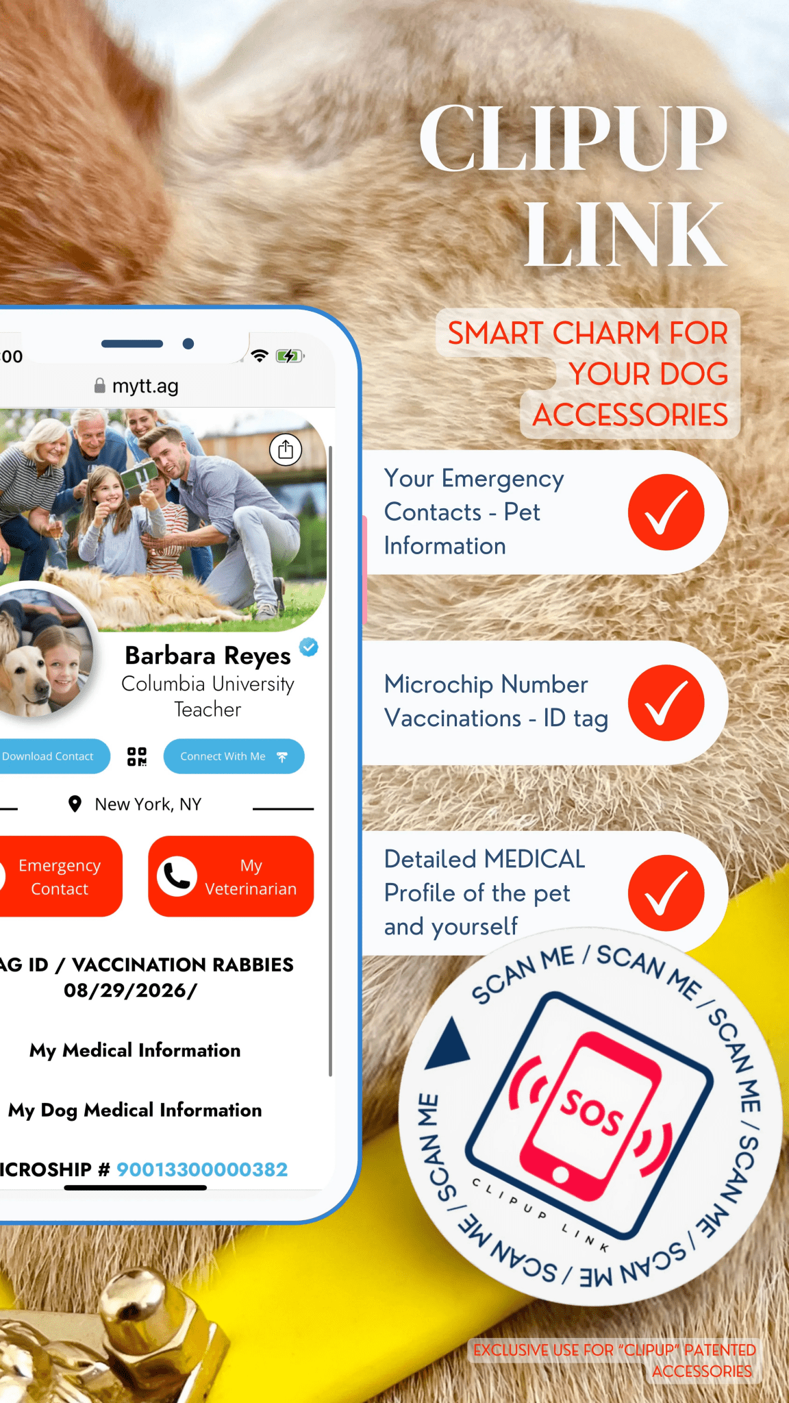 ClipUp Link - POSHYC