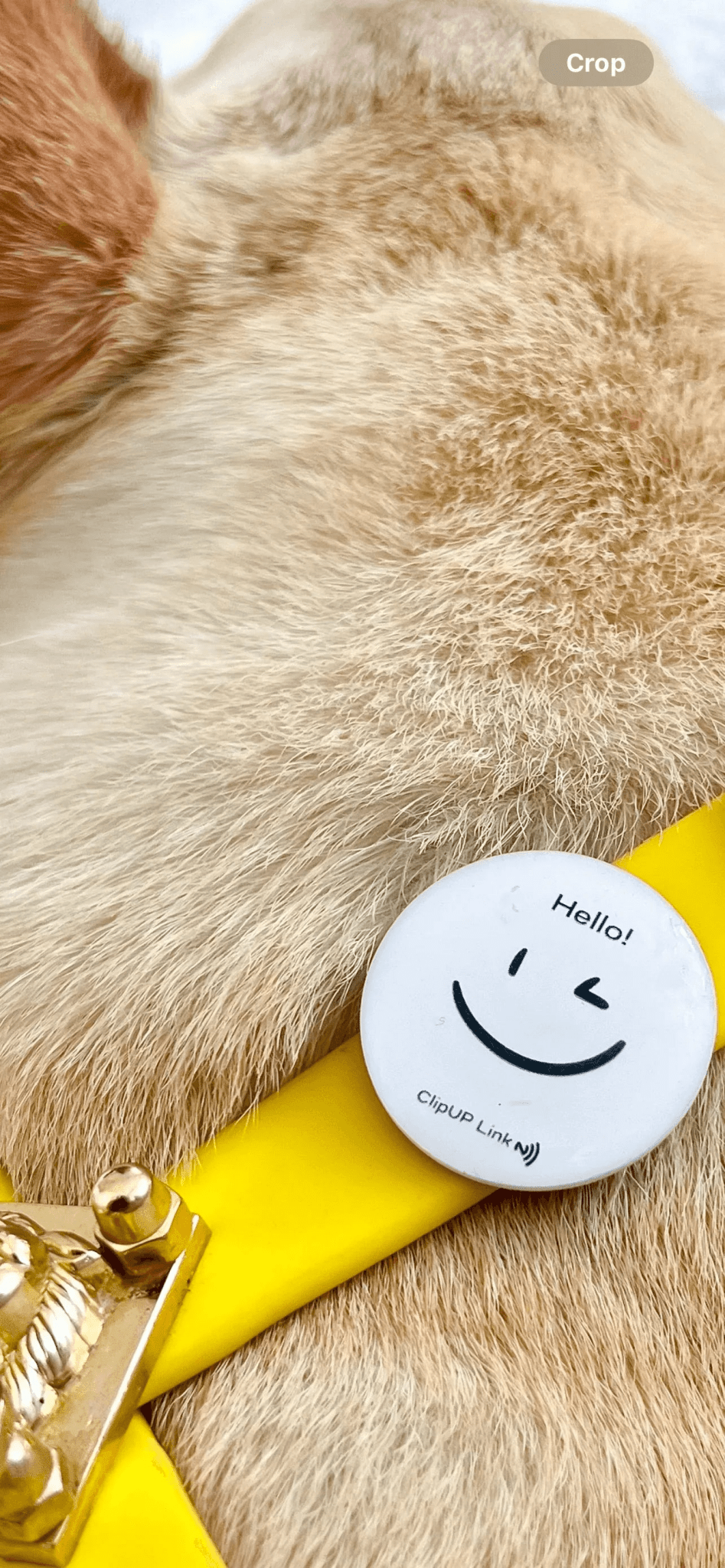 ClipUp Link - POSHYC