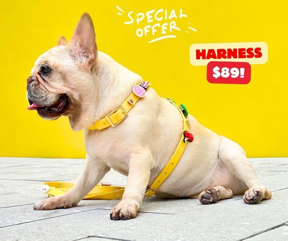 Harness ClipUp - Soccer Collection. - POSHYC