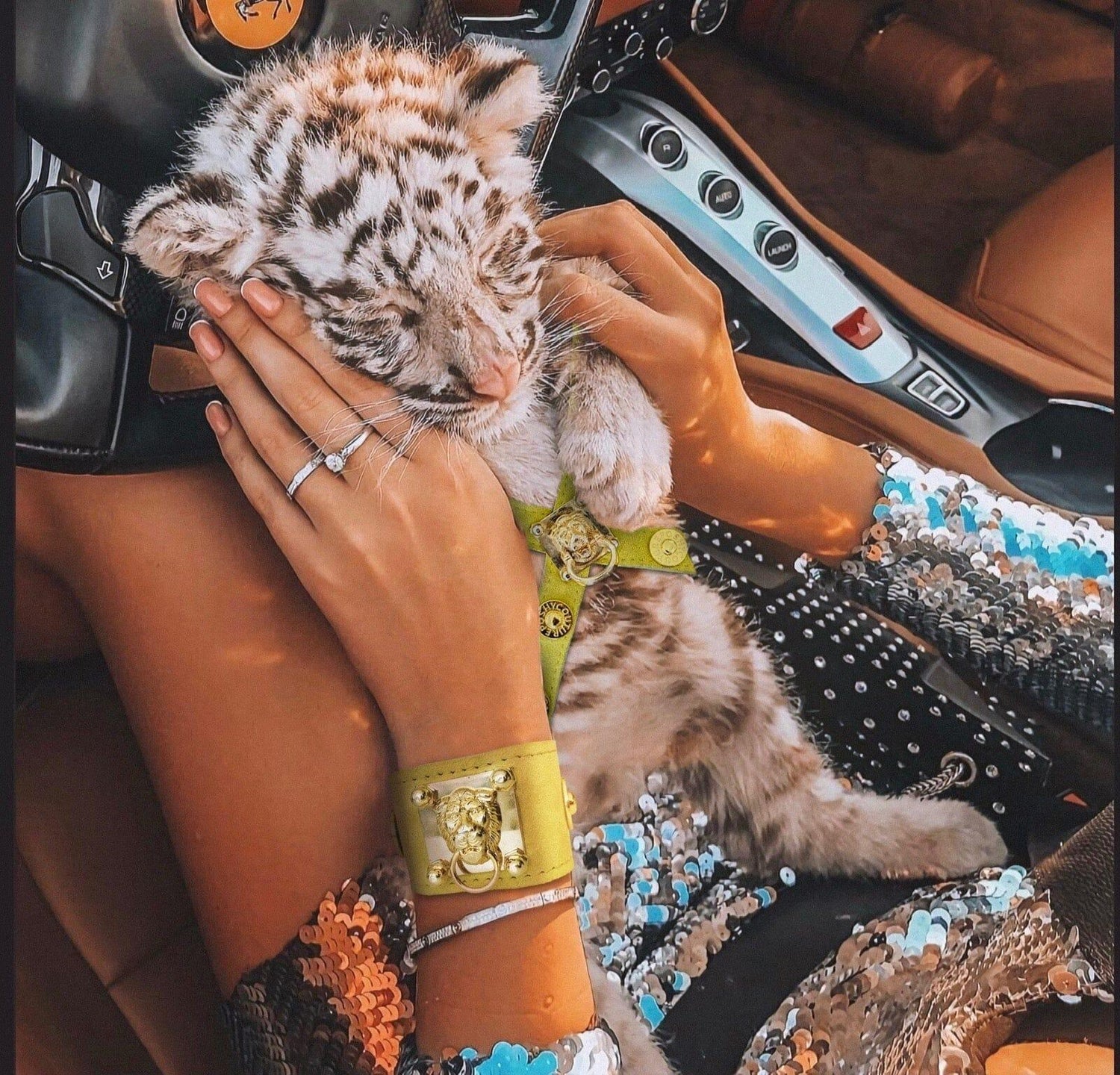 PET ACCESSORIES - POSHYC