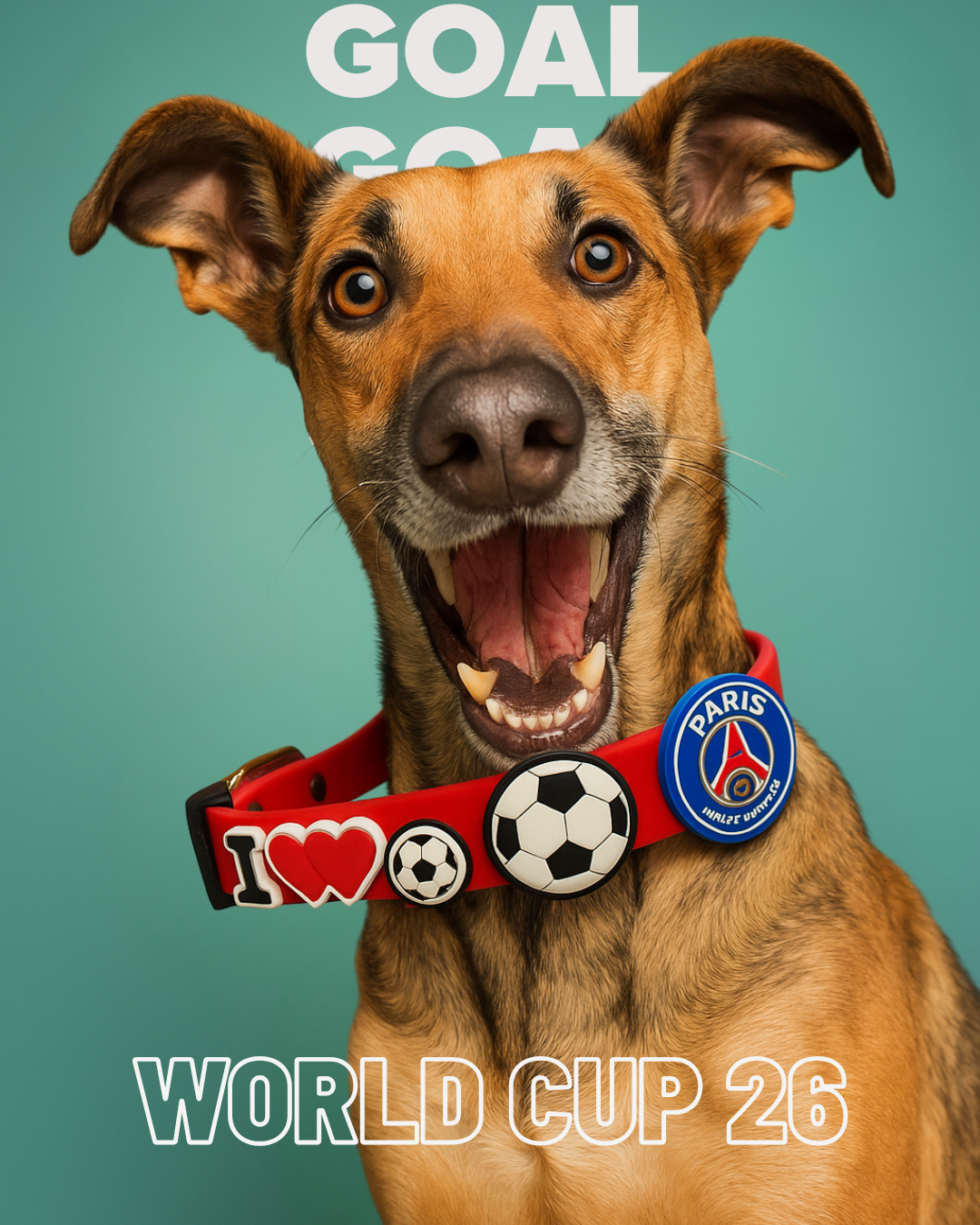 ClipUp Collar - Soccer Collection.
