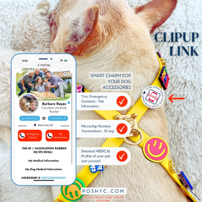 ClipUp Link