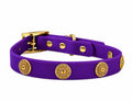 Collar ClipUp + Baroc Clip-charms
