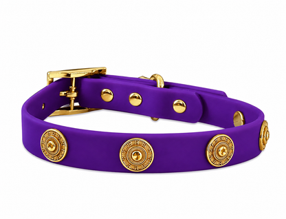 Collar ClipUp + Baroc Clip-charms