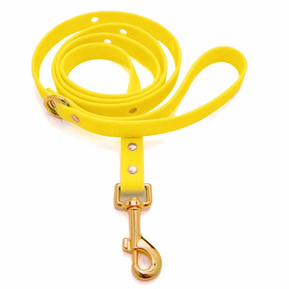 ClipUp Leash for dogs - Stylish Functionality | POSHYC