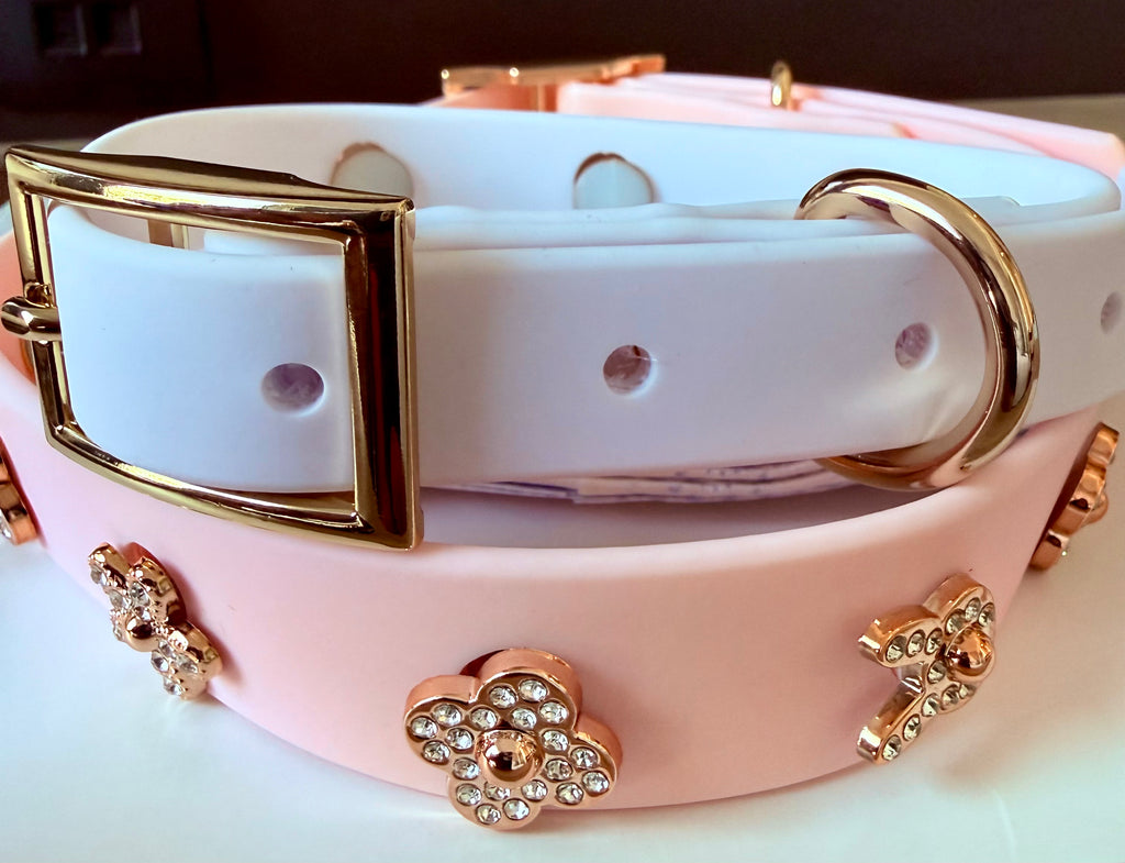 ClipUp Collar