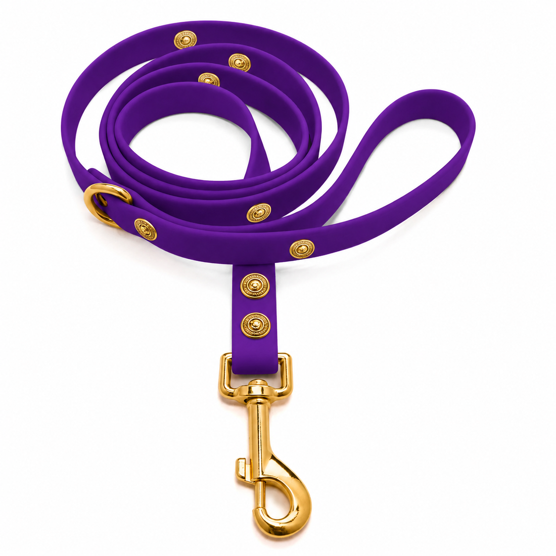 Leash ClipUp + Baroc Clip-charms