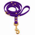Leash ClipUp + Baroc Clip-charms