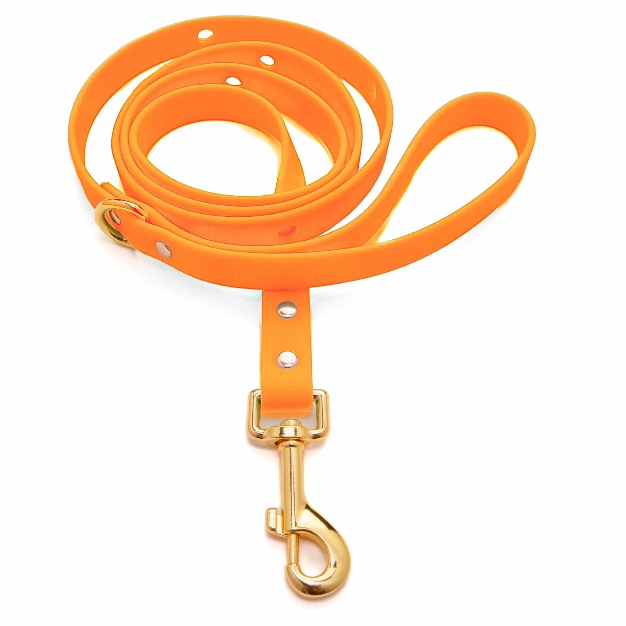 ClipUp Leash for dogs - Stylish Functionality | POSHYC