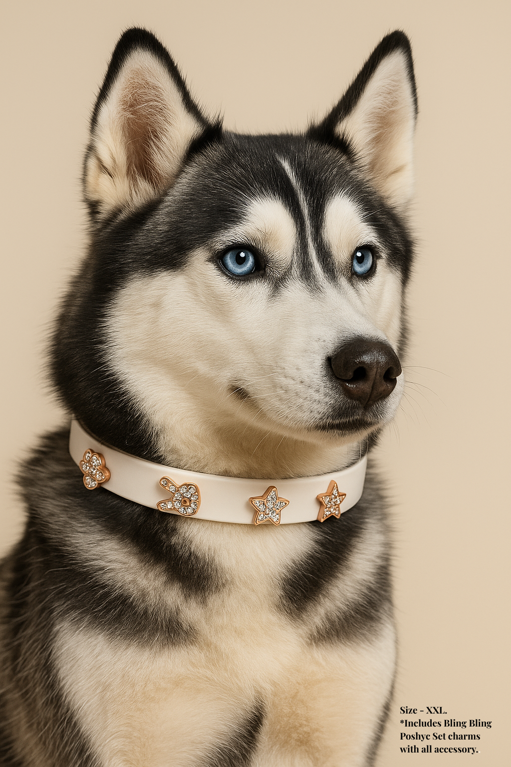 Husky dog wearing a decorative Poshyc collar on a beige background