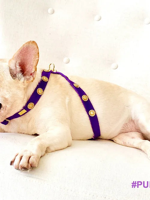 Muse Collection Pet Cross-Harness &quot;Baroc&quot; POSHYC 