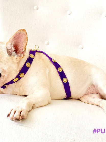 Muse Collection Pet  Cross-Harness &quot;Baroc&quot; - POSHYC