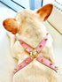 Muse Collection Pet Cross-Harness "Spikes" POSHYC 