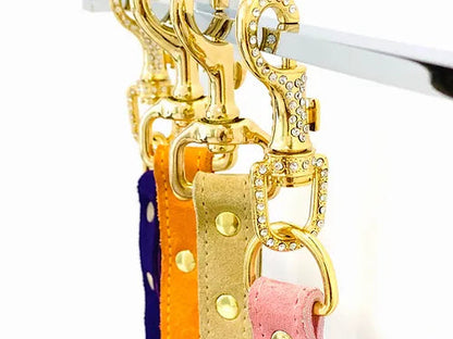 Muse Collection Pet Leash Spikes - Elegance for Stylish Pet