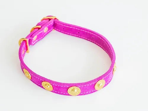 Muse Collection Pet collar &quot;Label&quot; POSHYC 