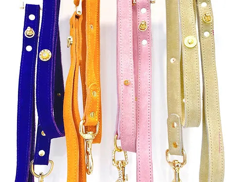 Muse Collection Pet Leash Spikes - Elegance for Stylish Pet