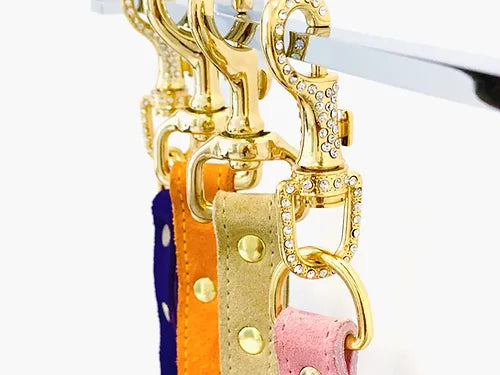 Poshyc Muse Collection Leash &quot;Label&