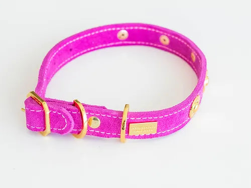 Muse Collection Pet collar &quot;Label&quot; POSHYC 