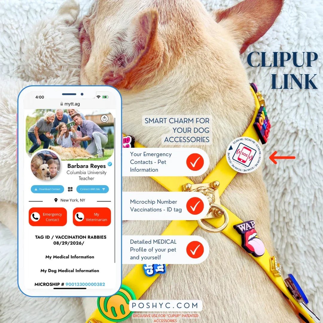 Bundle Offer Emergency Smart Charm, ClipUp Link - POSHYC