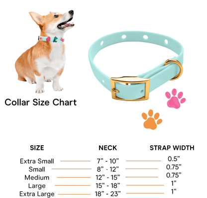 ClipUp Collar - POSHYC
