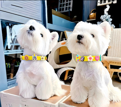 ClipUp Collar - POSHYC