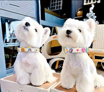 ClipUp Collar - POSHYC