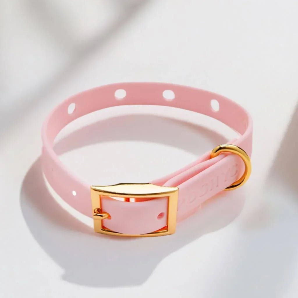 ClipUp Collar - POSHYC