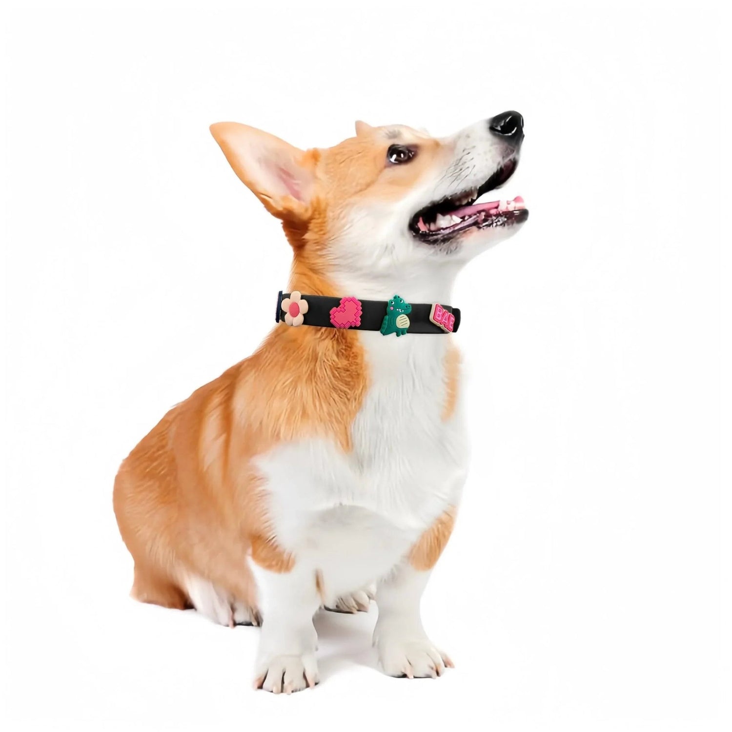 ClipUp Collar - POSHYC