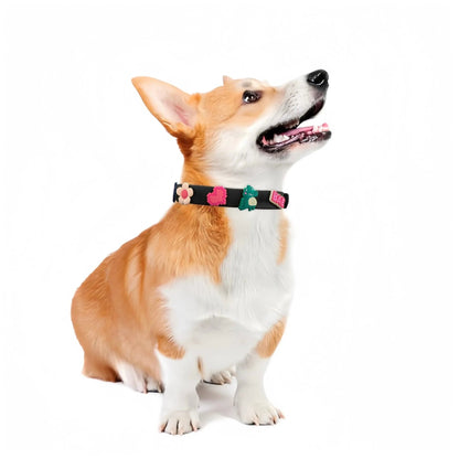 ClipUp Collar - POSHYC