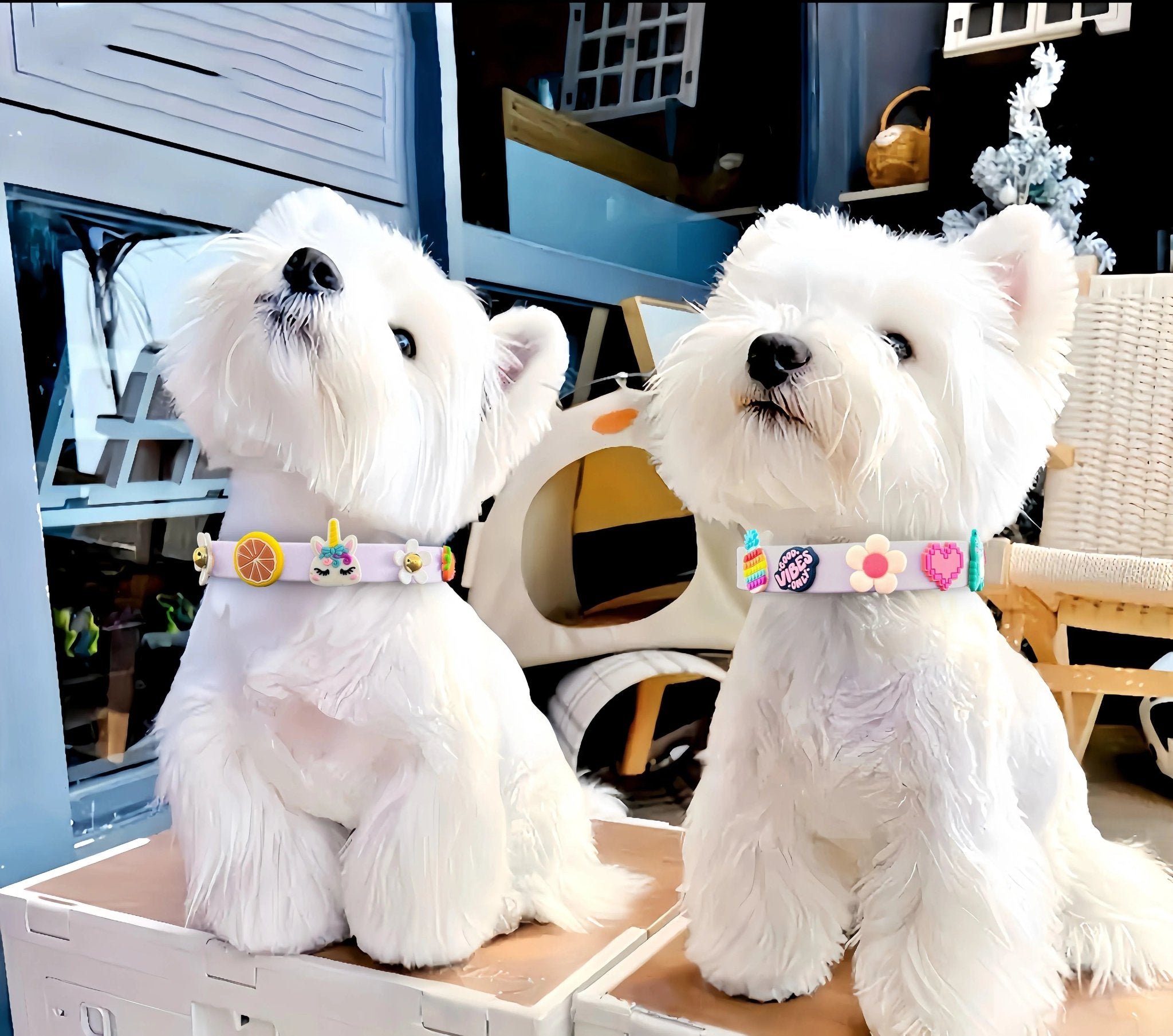 ClipUp Collar - POSHYC