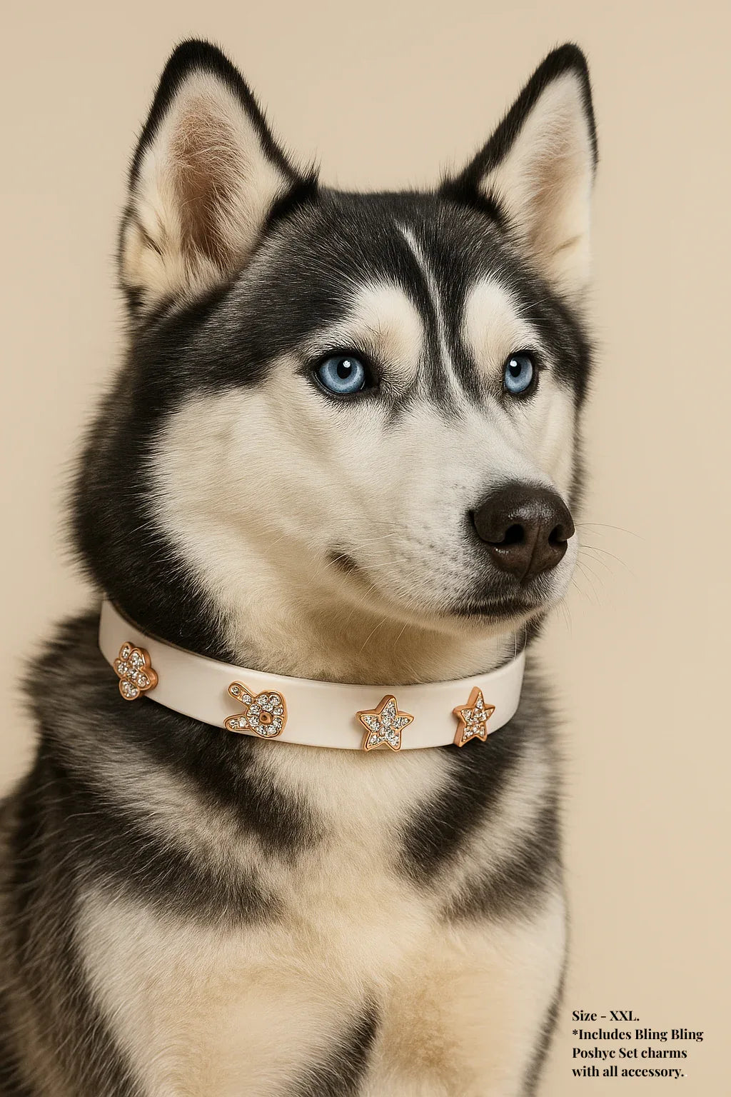 ClipUp Collar - POSHYC