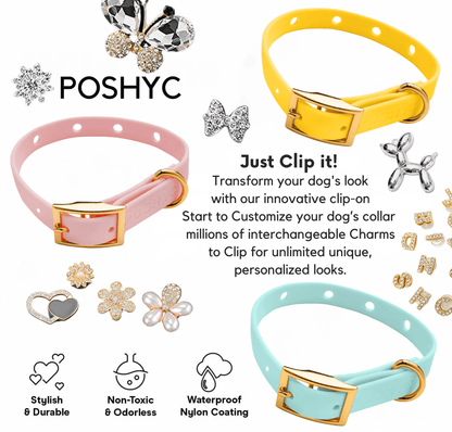 ClipUp Collar - POSHYC