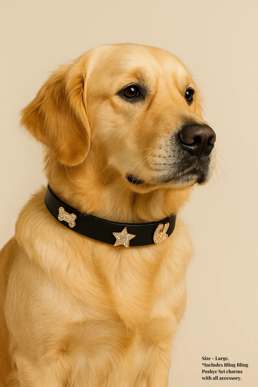 ClipUp Collar - POSHYC